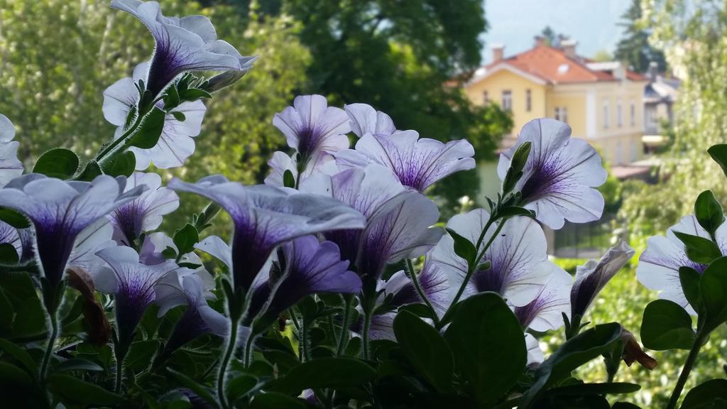 Ferienwohnung Holiday Lienz Rum bild